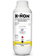 K-ÑON