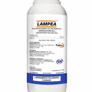 LAMPEA