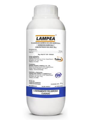 LAMPEA