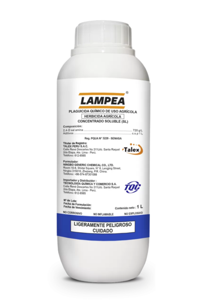 LAMPEA