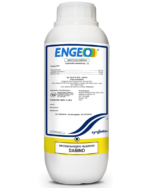 ENGEO