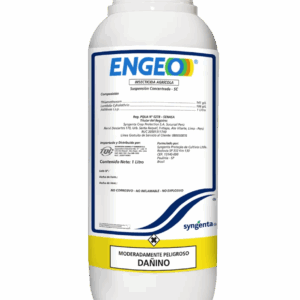 ENGEO