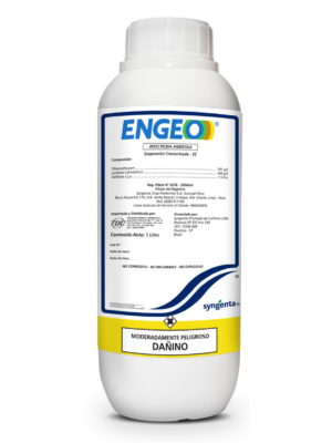 ENGEO