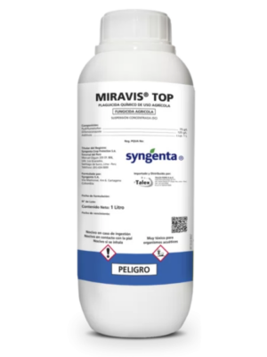 MIRAVIS TOP