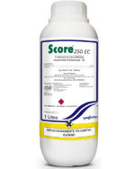 SCORE 250 EC
