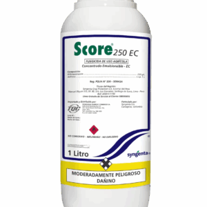 SCORE 250 EC