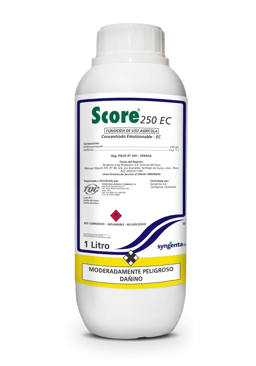 SCORE 250 EC