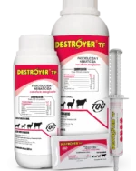DESTROYER TF