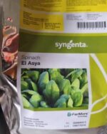 Espinaca El ASYA